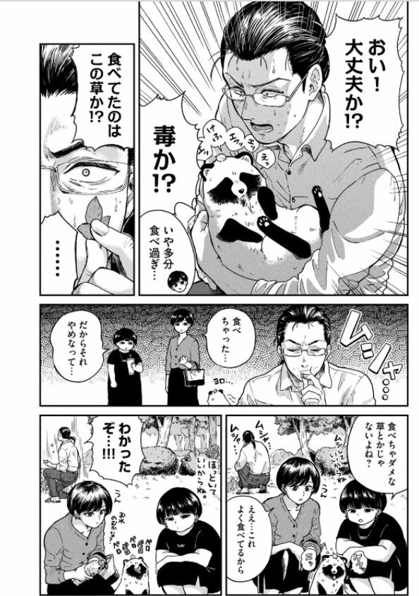 Ame to Kimi to 雨と君と Vol.5 by Nikaidou Kou. GiantBooks. Manga. 