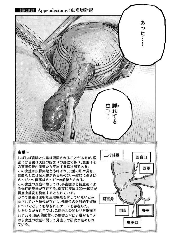 Koudou ni Hattatsu Shita Igaku wa Mahou to Kubetsu ga Tsukanai 高度に発達した医学は魔法と区別がつかない Vol.5 by TSUDA Houkou and TAKISHITA Nobuhide. Manga. Japon.GiantBooks.