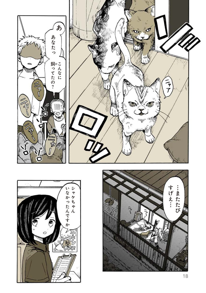 Un jour spécial avec chat et voisins 特別じゃない日猫とご近所さん by Ina Soraho. Manga. Giantbooks.