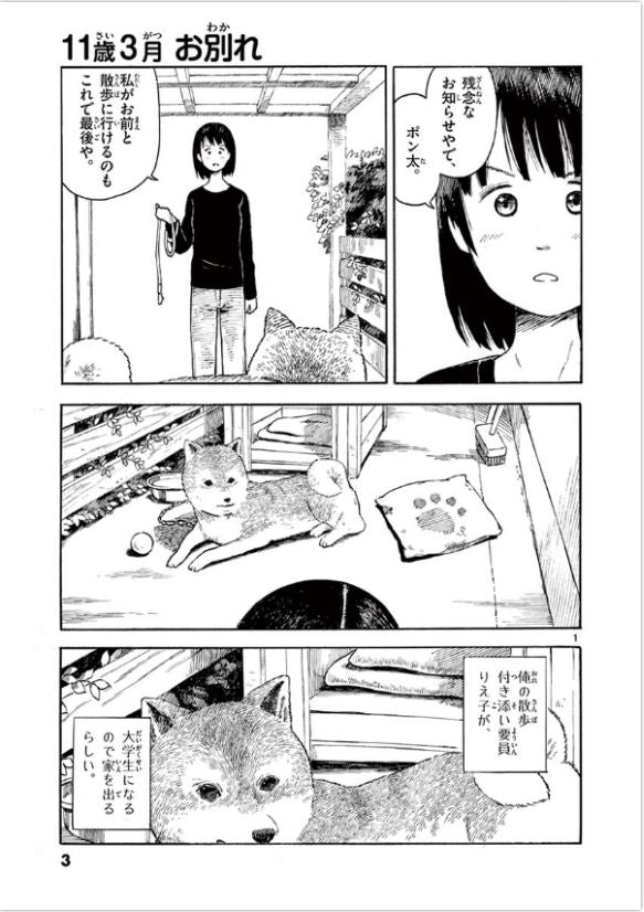 今日のさんぽんた Today's Walk Vol.1 by Taoka Riki. Manga. Japon. GiantBooks.