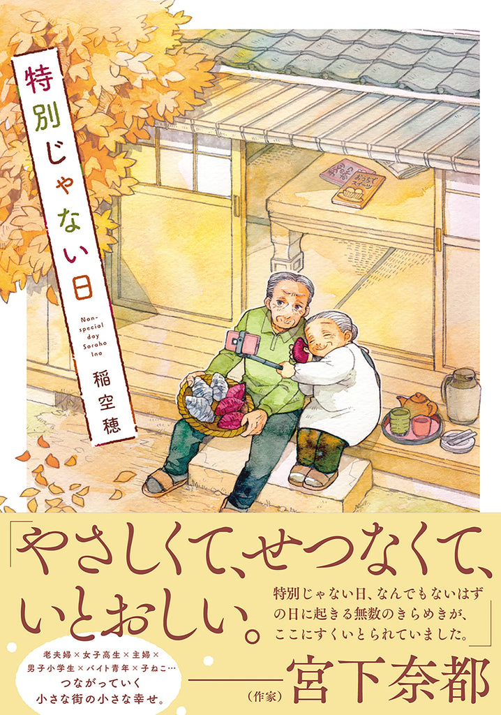 Un jour spécial 特別じゃない日 by Ina Soraho. Manga. GiantBooks.