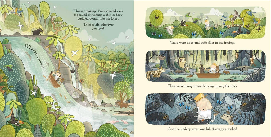 Forest by Brendan Kearney. Illustrated books. GiantBooks.